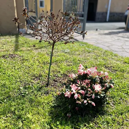 Casa Mia Malva *