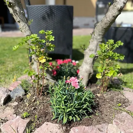 Διαμέρισμα Casa Mia Malva