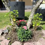 Apartamento Casa Mia Malva