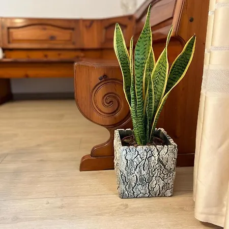 Casa Mia Malva Lägenhet