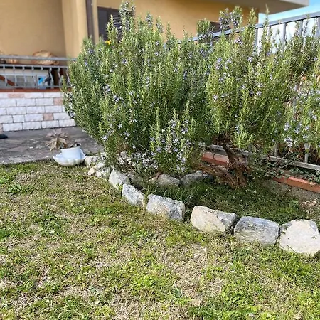 Casa Mia Malva Apartamento *