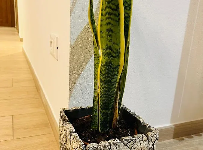 Casa Mia Malva * Riccò del Golfo di Spezia