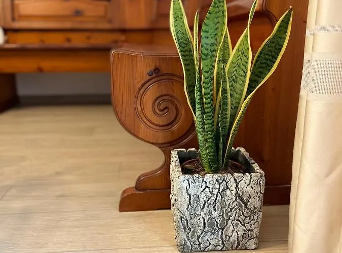 Casa Mia Malva Apartamento