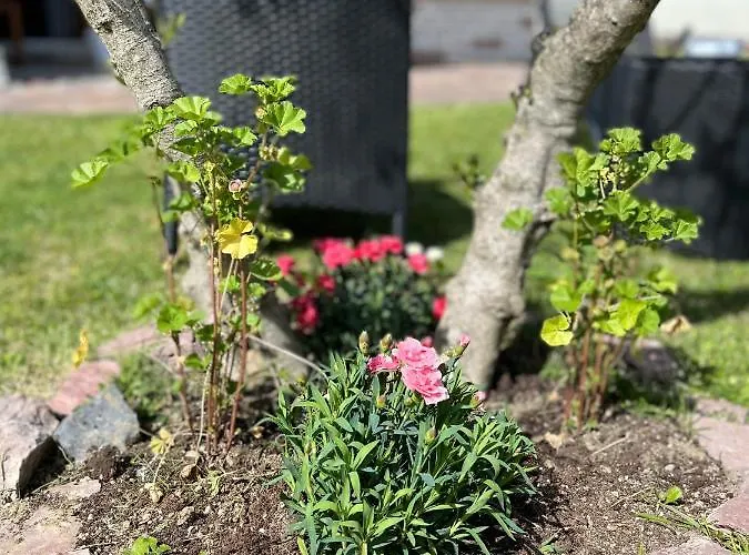 Apartamento Casa Mia Malva