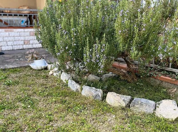 Casa Mia Malva Apartman *
